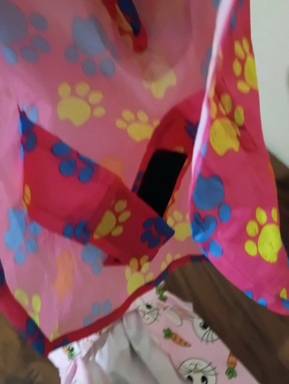Dog Size Small Raincoat and Bunny Dress